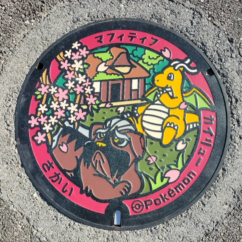 坂井市のポケふた