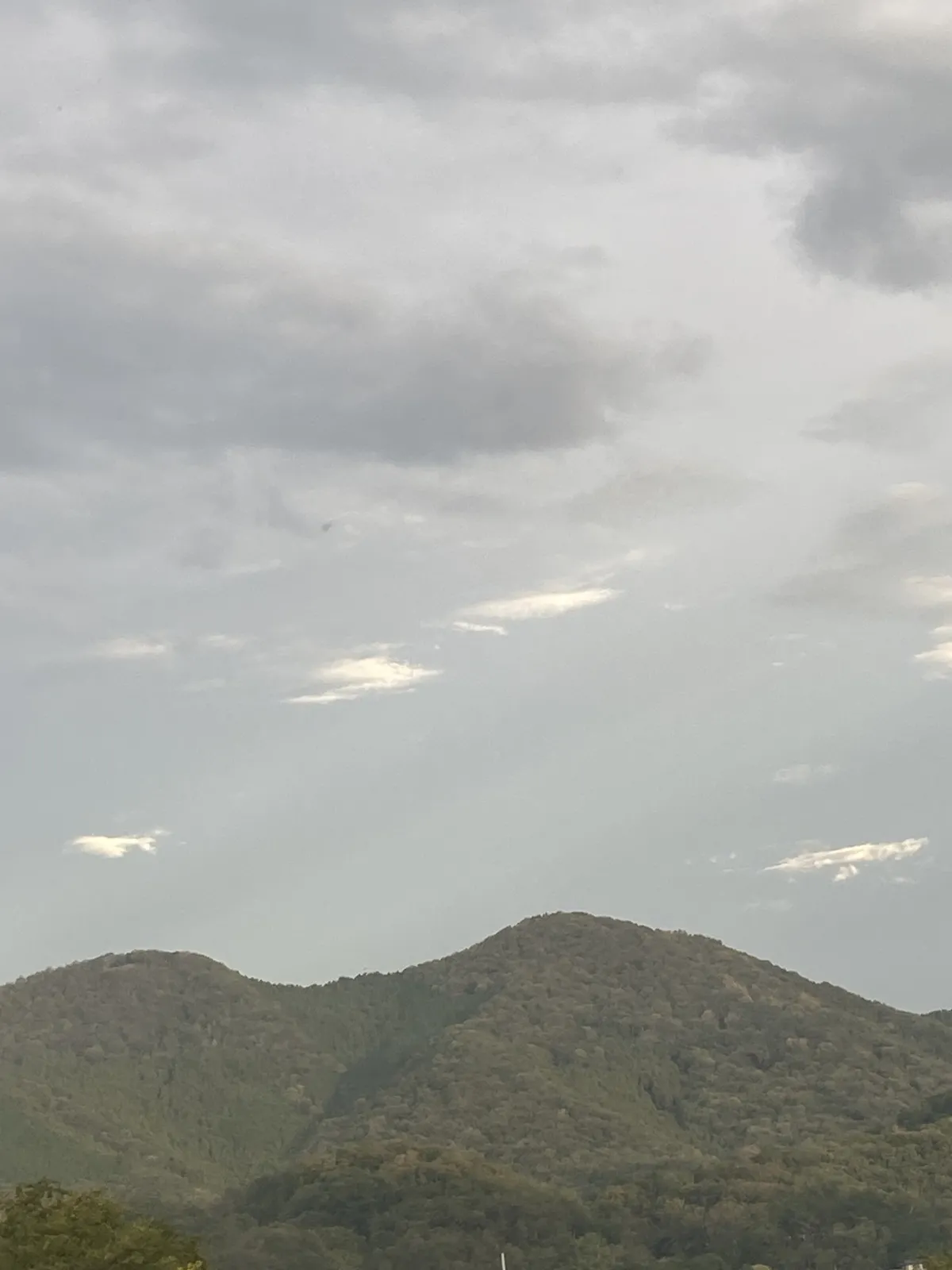 山