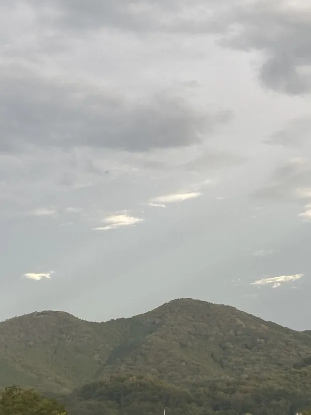 山