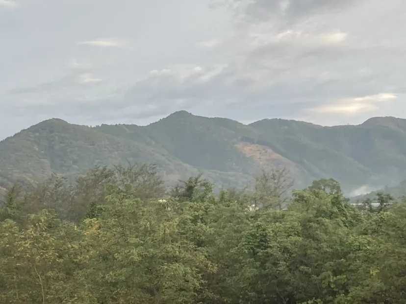 山
