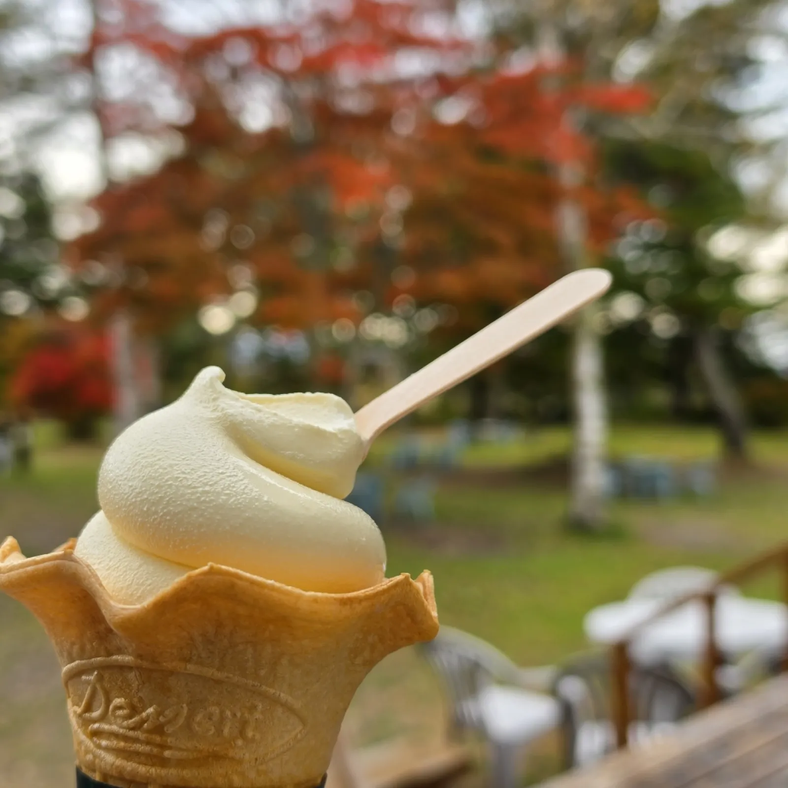 必ず食べる｢蓼科アイス｣の濃厚バニラソフト
旨い🍦😋