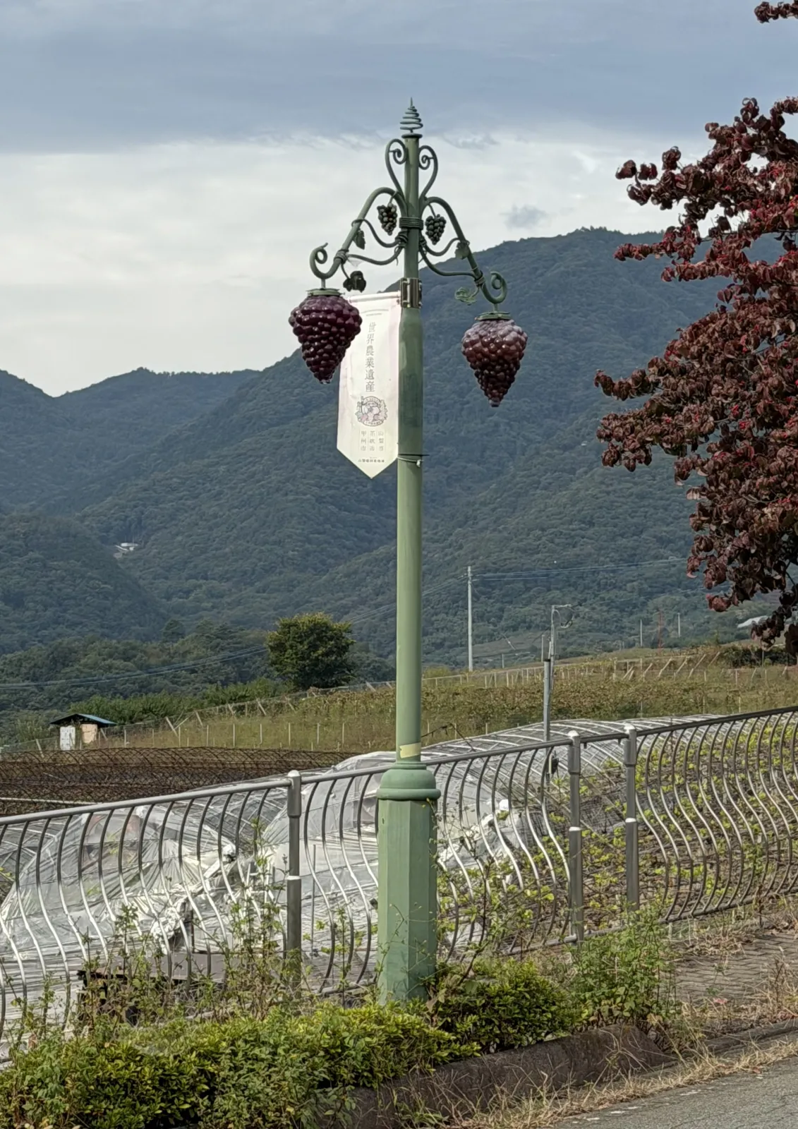 山梨県笛吹川フルーツ公園
途中のフルーツラインには、フルーツを模した街灯が建っていました
ドライブ中にもフルーツを楽しめる面白い場所でした