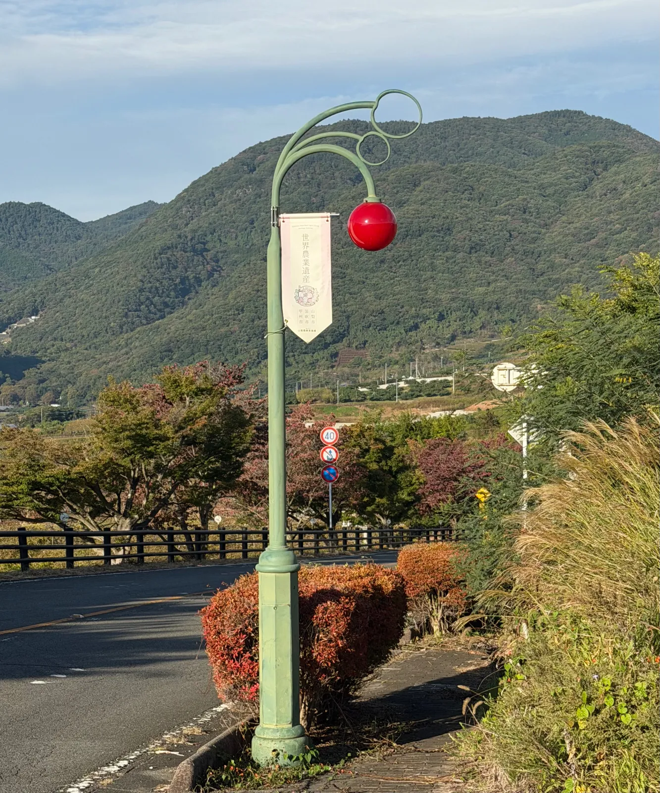 フルーツ公園近くは、さくらんぼ🍒の街灯
夜はどんな風に光るのか気になります