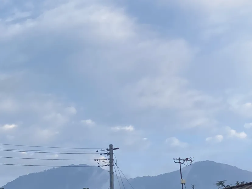 山