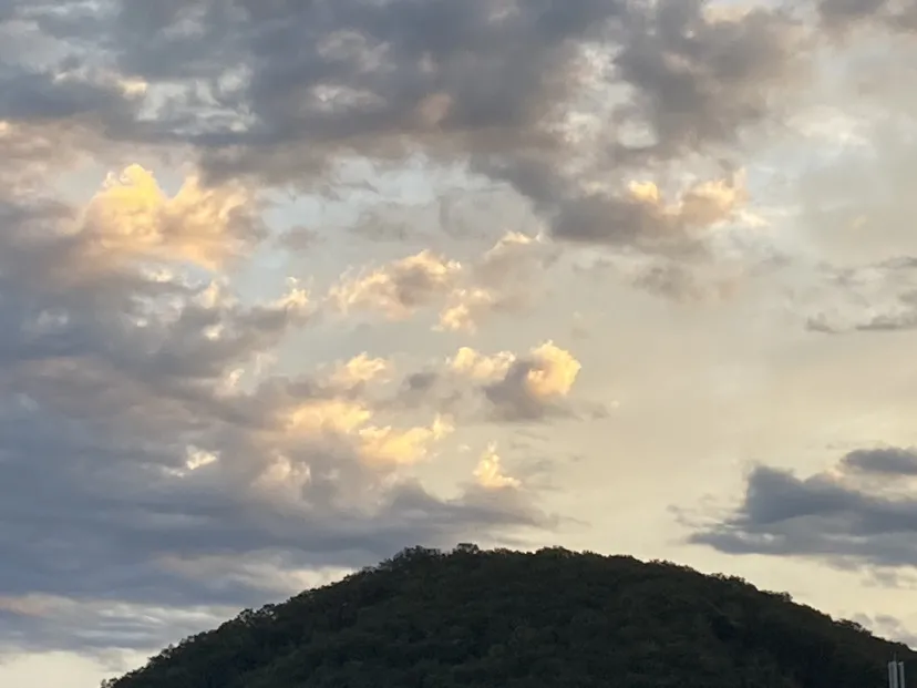 山
