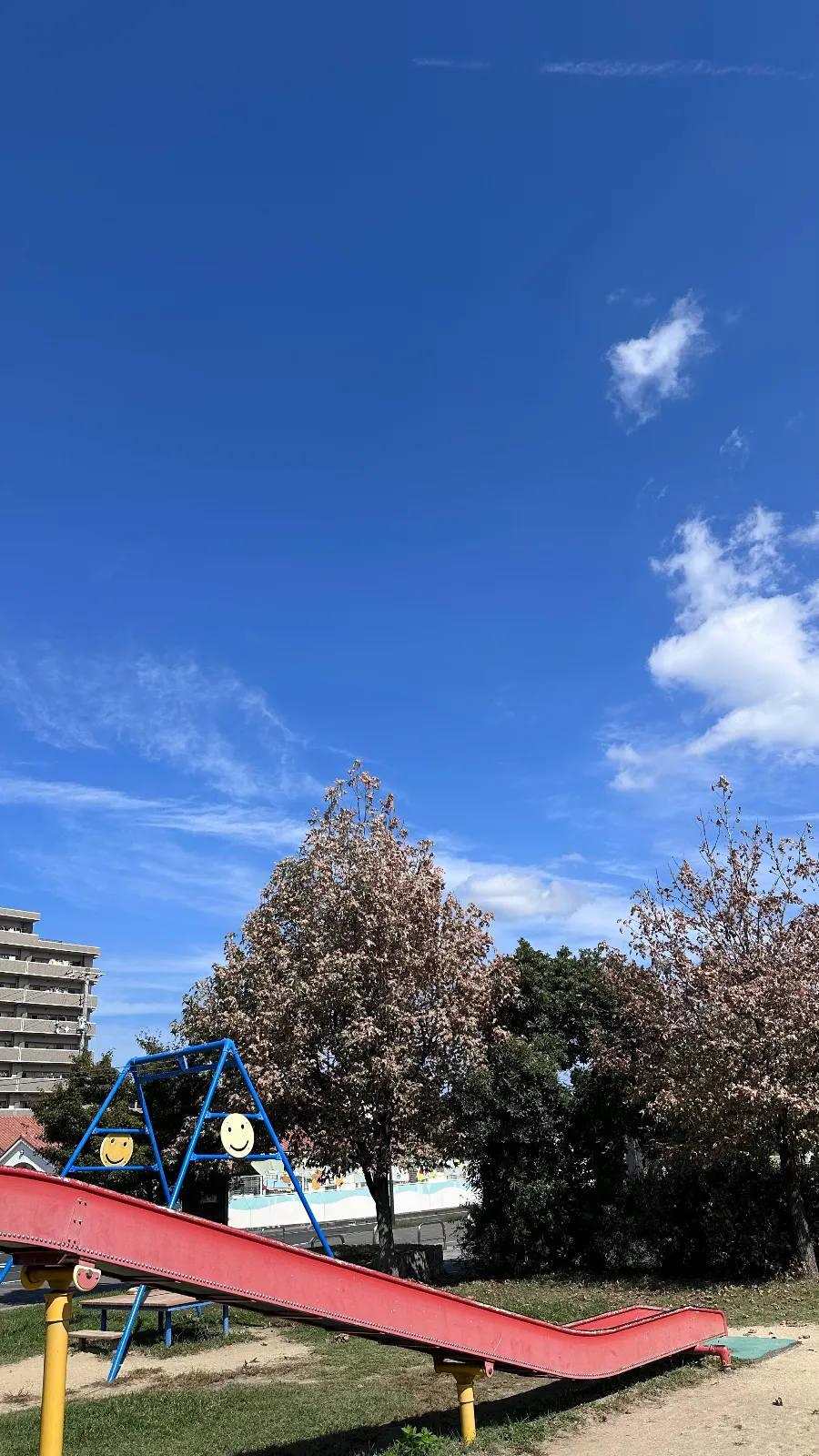 この日は子供たちと一緒に公園に遊びに行ってきました。少し遠いのですが、大きい遊具の割にはあまり人も多くなくたっぷりと遊ぶことができました。
ただ、くもがものすごく多くて、くもの巣の量がとてもすごかったです