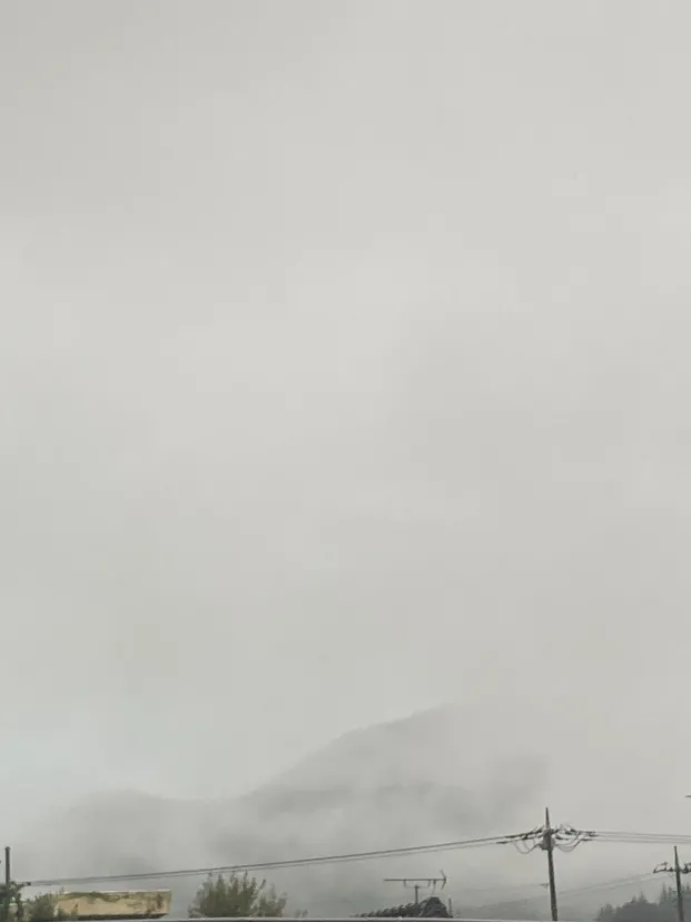 山