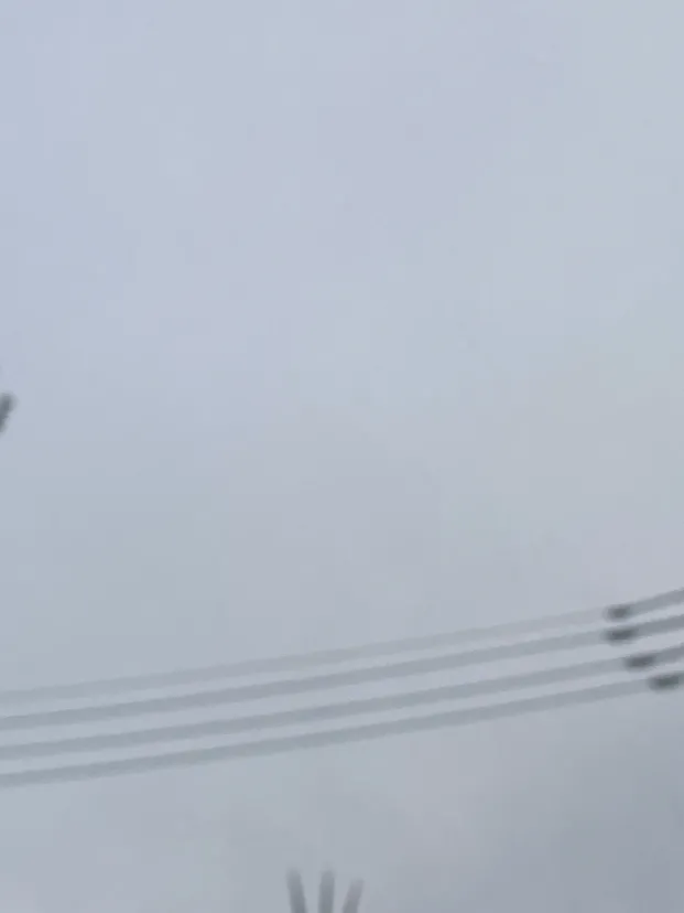 山