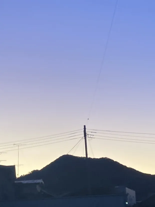 山
