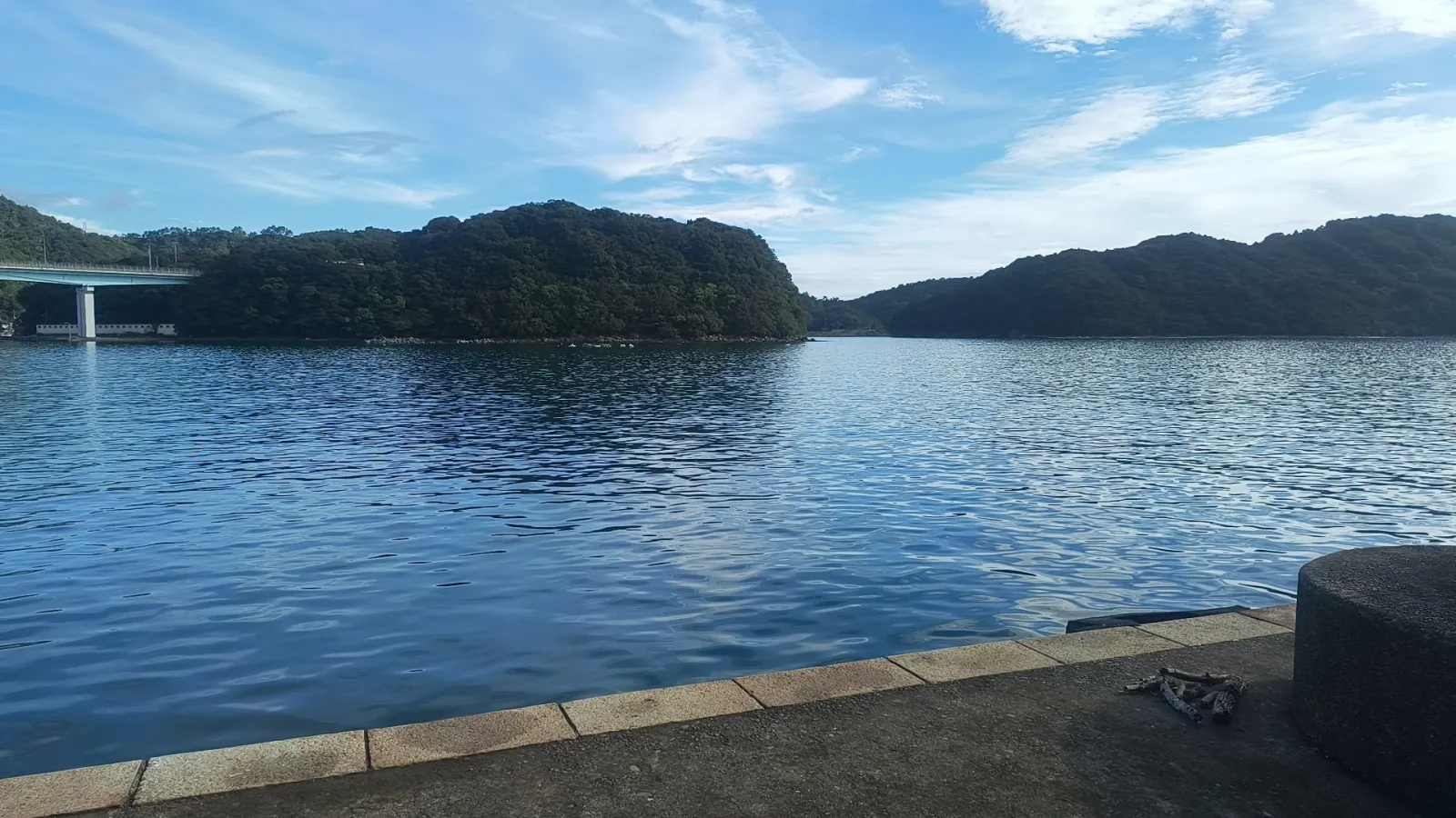 去年からはじめた釣り
旅行に来たついでに朝マズメに行ってきました。
熱帯魚がいっぱいいました。
何も釣れませんでしたw