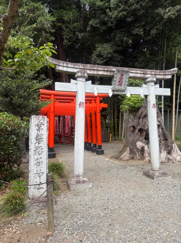 水戸ドライブで立ち寄った常磐稲荷神社⛩️
