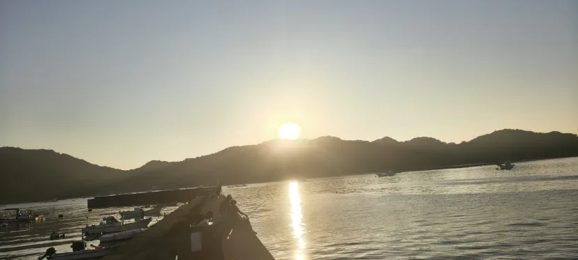 朝マズメ