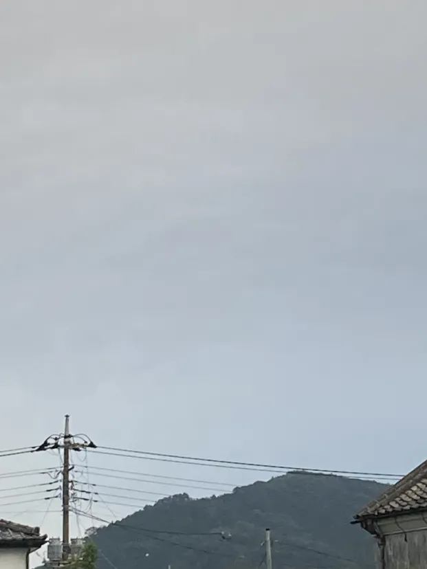 山