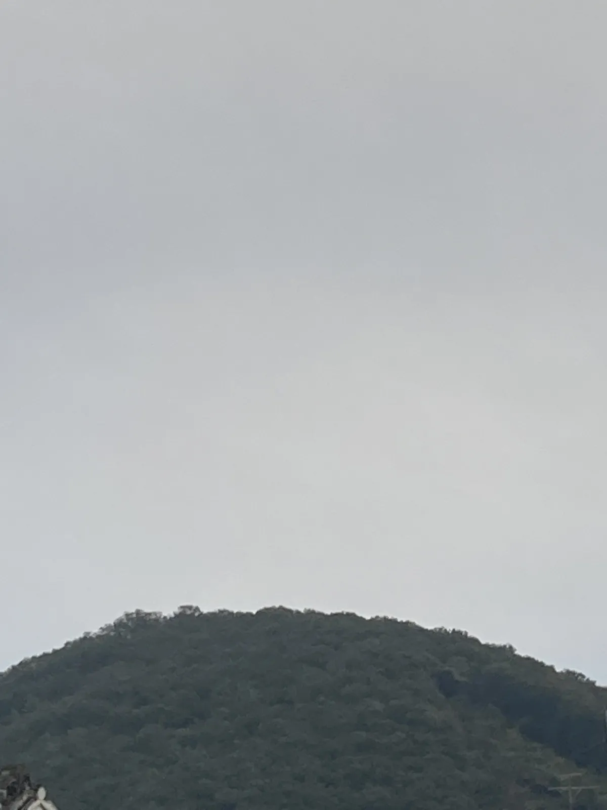 山