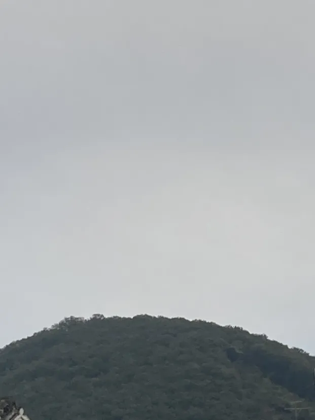 山