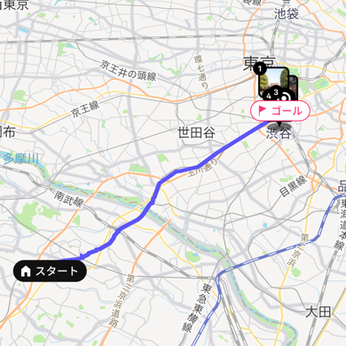 2025 1/3 明治神宮参拝⛩️