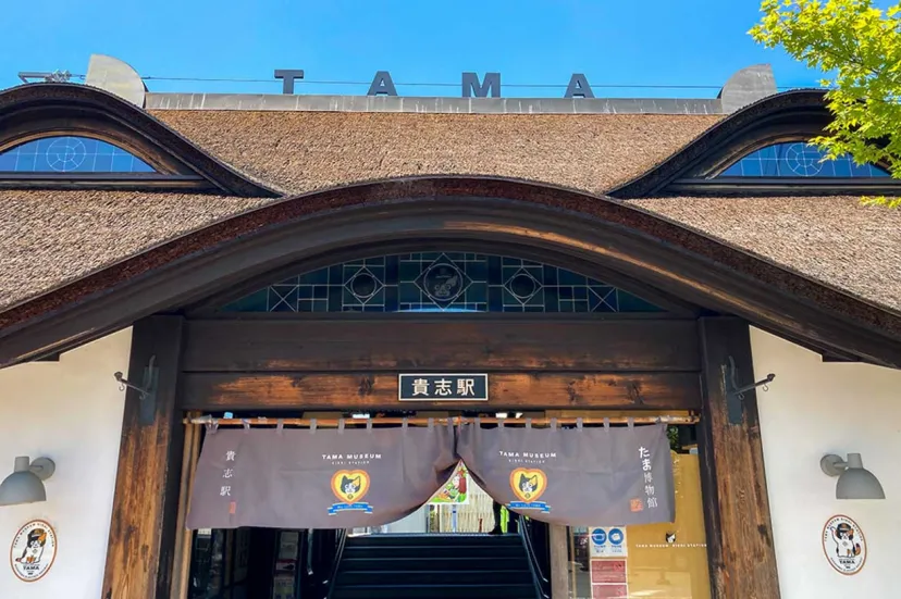 和歌山名物を堪能する旅！たま駅や道の駅で自然を楽しみながら人気グルメで舌鼓