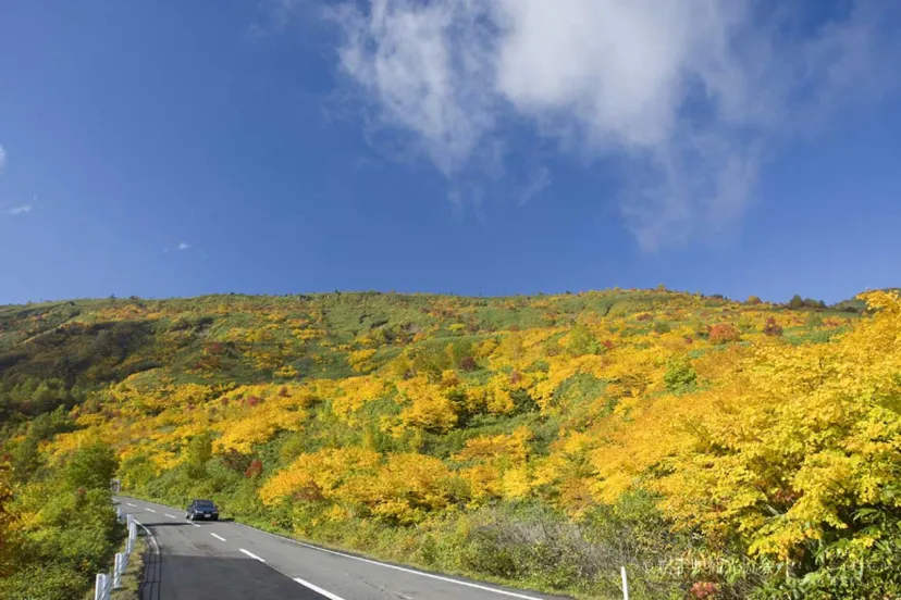 岩手県の紅葉を楽しむならここ！絶景スポット5選