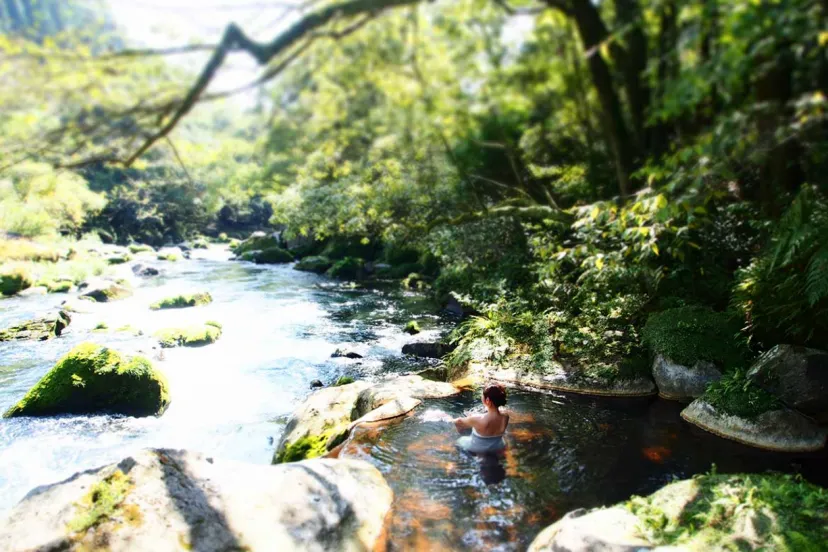 霧島…幕末志士たちに想いをはせながら、4つの温泉郷と焼酎蔵等をめぐり身も心も満たす旅を