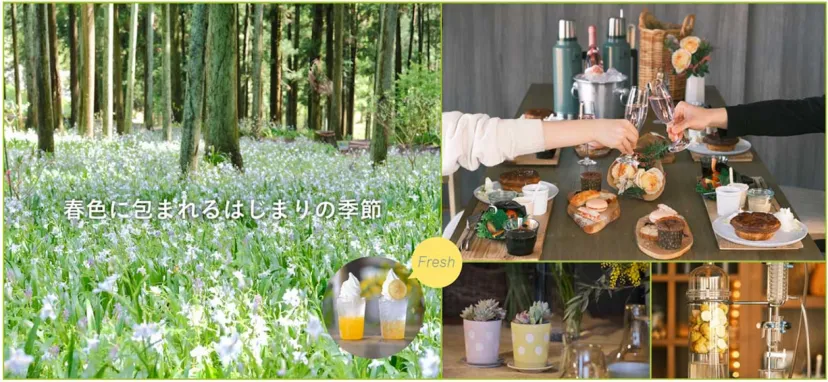 「いばらきフラワーパーク」で晴れやかなシーズンがスタート！“フレッシュ”な春を迎えよう