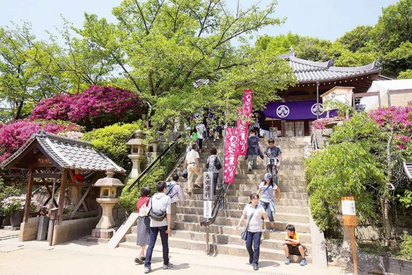 130軒以上の露店が並ぶ！約300年の歴史を誇る伝統行事「のざきまいり」5/1～8開催決定