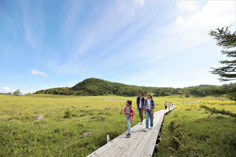池の平湿原で“高山植物の女王”「コマクサ」が見頃。休暇村嬬恋鹿沢「ガイドウォーク」を実施