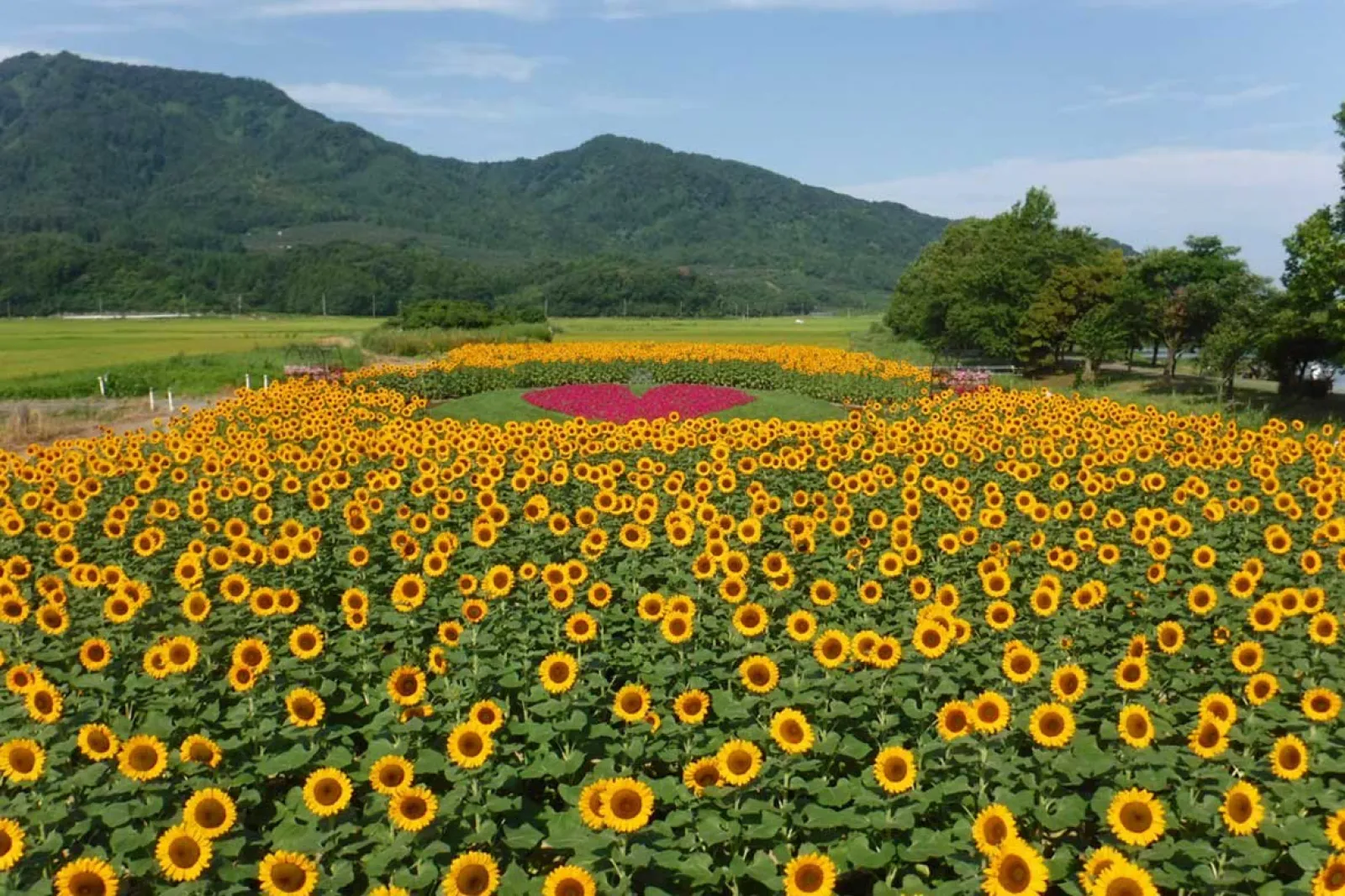 nishikan_3_l.jpg.webp