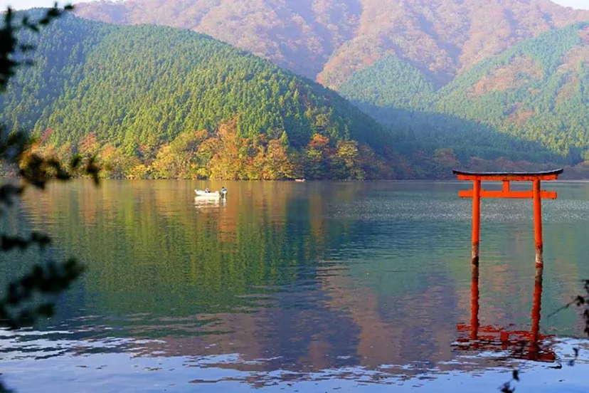 早朝の絶景と森の静けさがもたらす神秘と癒し 。箱根九頭龍の森ネイチャーツアー体験