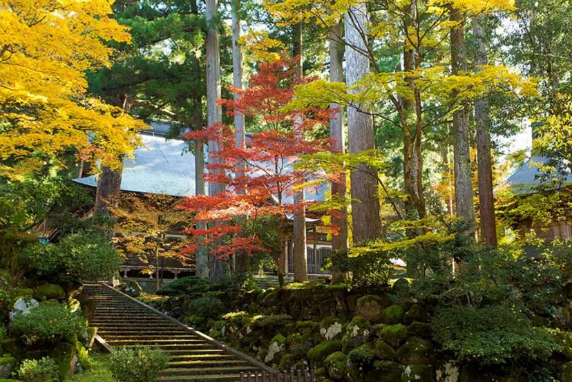 紅葉の大本山「永平寺」へ！休暇村越前三国、京福鉄道・廃線跡「永平寺参ろーど」ウォーキングツアー開催