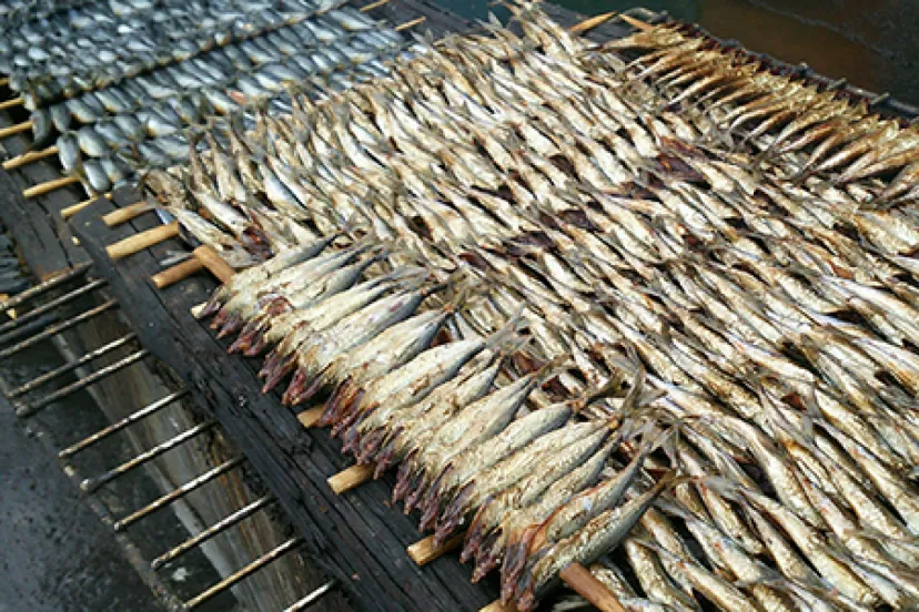 【100年フード】小さな漁師町に伝わる魚の燻製料理。三重県「梶賀のあぶり」