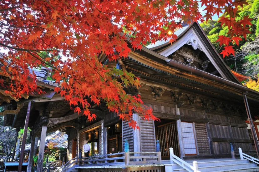徳島ドライブ | お遍路気分で寺巡り!歴史とご当地グルメを楽しむ