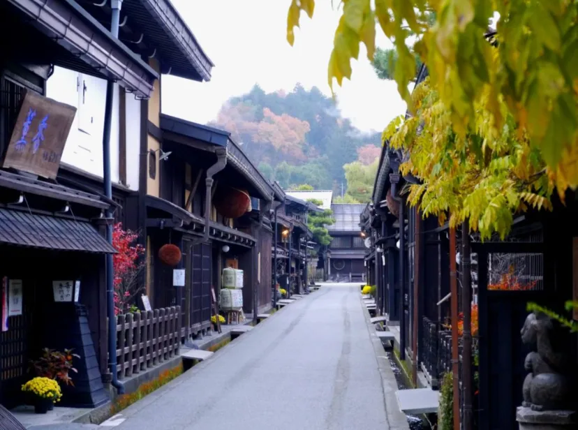 岐阜・飛騨高山ドライブ | 紅葉のせせらぎ街道、古い町並、温泉…岐阜の魅力凝縮
