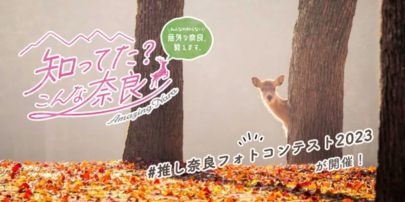 奈良の魅力を発信「♯推し奈良フォトコンテスト2023」開催中！