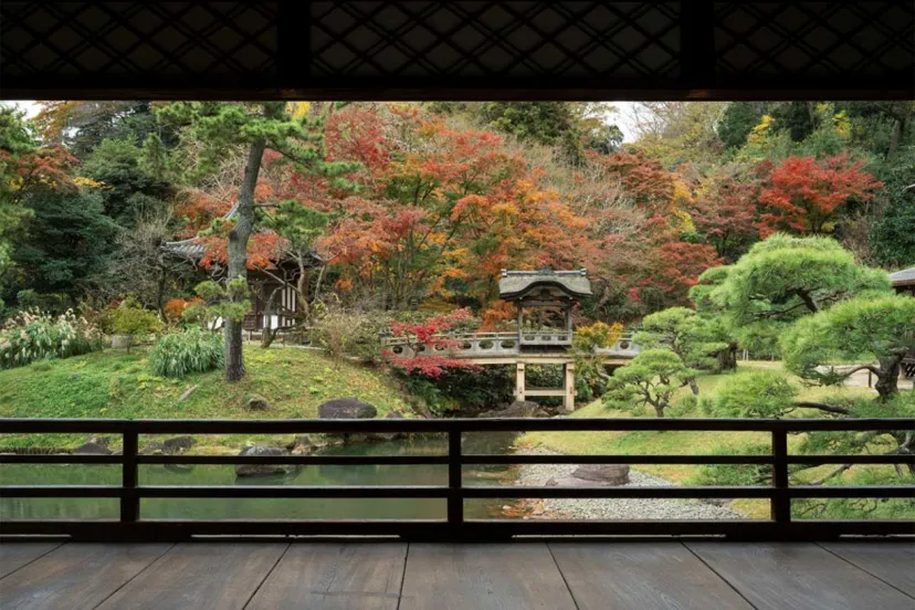 横浜・三溪園の重要文化財『臨春閣』9年ぶりに特別公開。夜は紅葉エリアのライトアップも開催