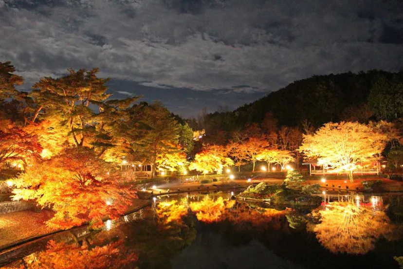 修善寺虹の郷、夜空を彩る「もみじライトアップ」＆「秋の打ち上げ花火」開催