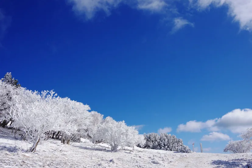 氷の絶景アートを楽しむ「三峰山（みうねやま）霧氷まつり」1/20から開催
