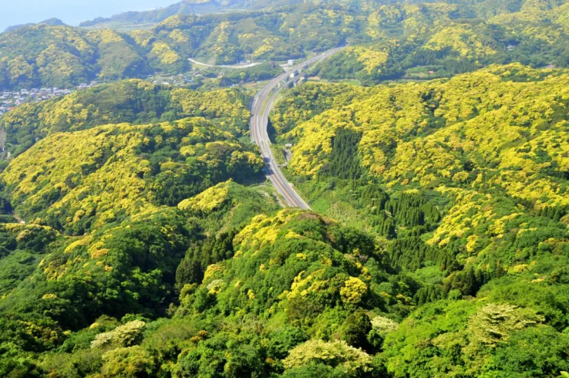 千葉・内房ドライブ ｜ 南房総の絶景と絶品を味わい尽くす！