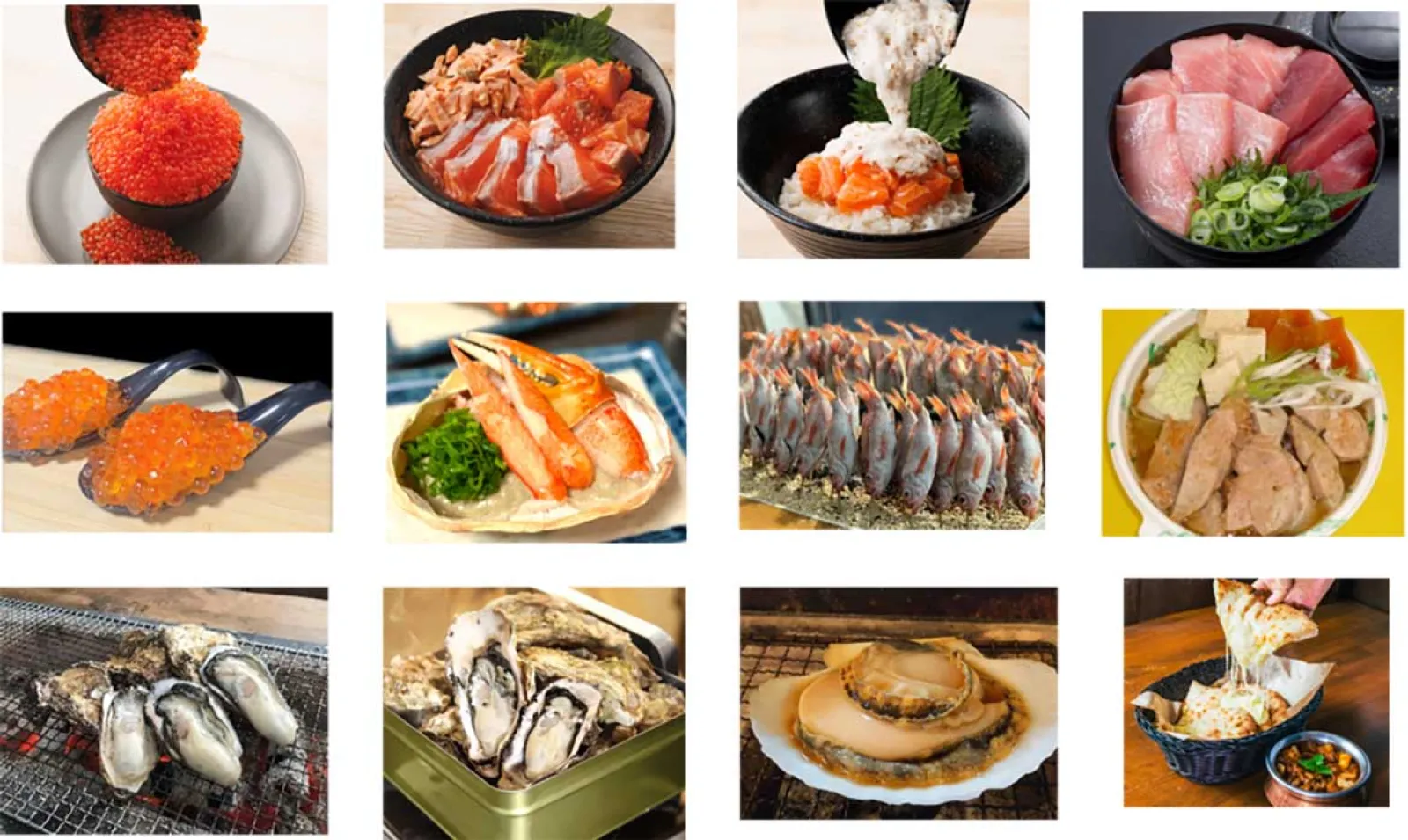 sakanafes_l.jpg.webp