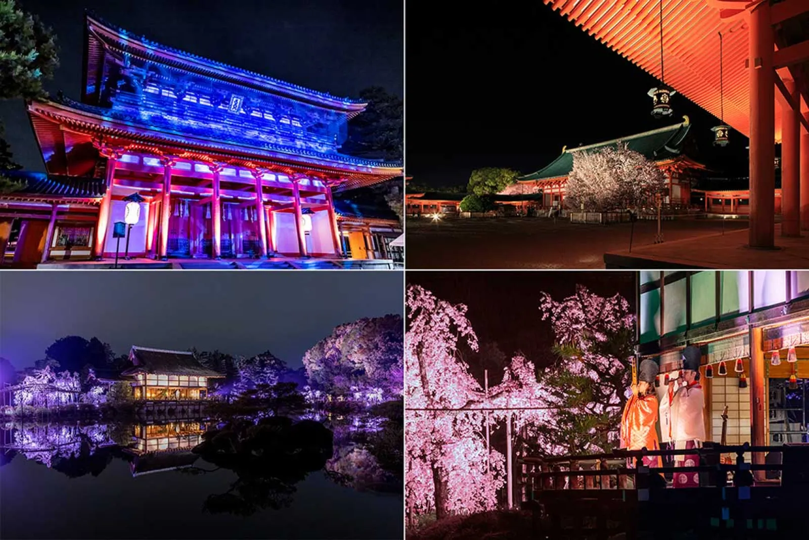 夜桜と音楽を贅沢に堪能！京都「平安神宮 桜音夜（さくらおとよ）～紅しだれコンサート2024～」 | ドライブ・旅行 |  カーライフ・カー用品サイトMOBILA（モビラ）