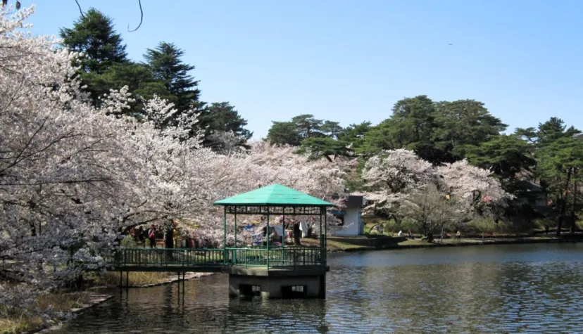 埼玉・さいたまドライブ | のんびりと至福のひとときを満喫