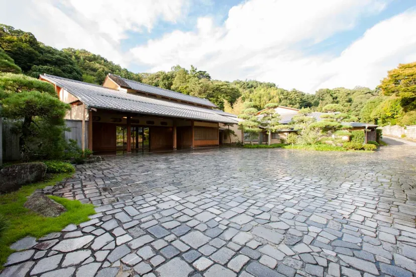 春のお茶摘み体験！静岡県伊豆の国市「三養荘」、絶景お茶摘み体験プラン販売