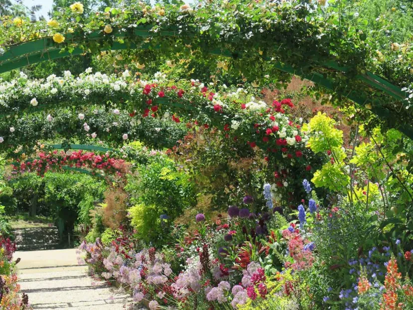 国内最高傑作の印象派庭園。浜名湖ガーデンパーク「花美の庭」のバラが満開