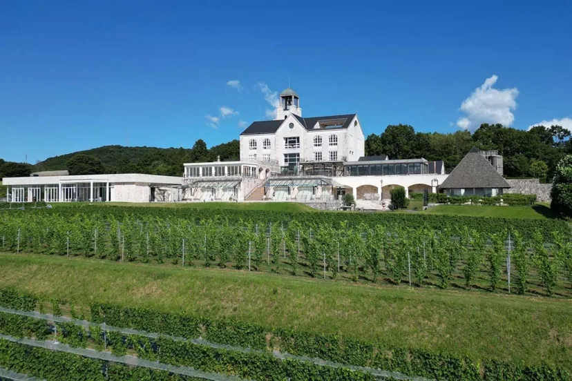 中伊豆ワイナリーヒルズにて、「プレミアムワイン飲み比べ」や「イレブンジズティー」などを開催