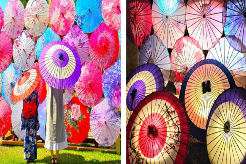 300本の和傘で彩る幻想的な空間「和傘物語・和傘灯り物語2024」開催中