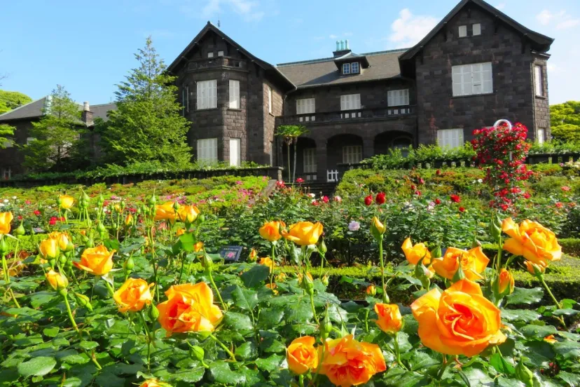 東京・旧古河庭園に咲くバラが見頃！「春のバラフェスティバル」開催中