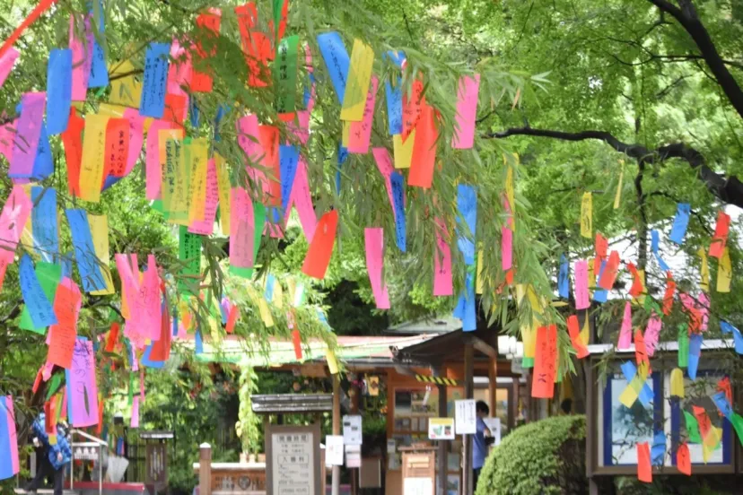 カラフルな短冊が彩る夏の風物詩イベント、都立9庭園にて「七夕飾り」開催
