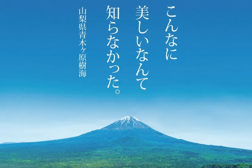 富士山を望むロケーションで、青木ヶ原樹海の自然に触れる「健やか樹海ウォーキング」8/25開催