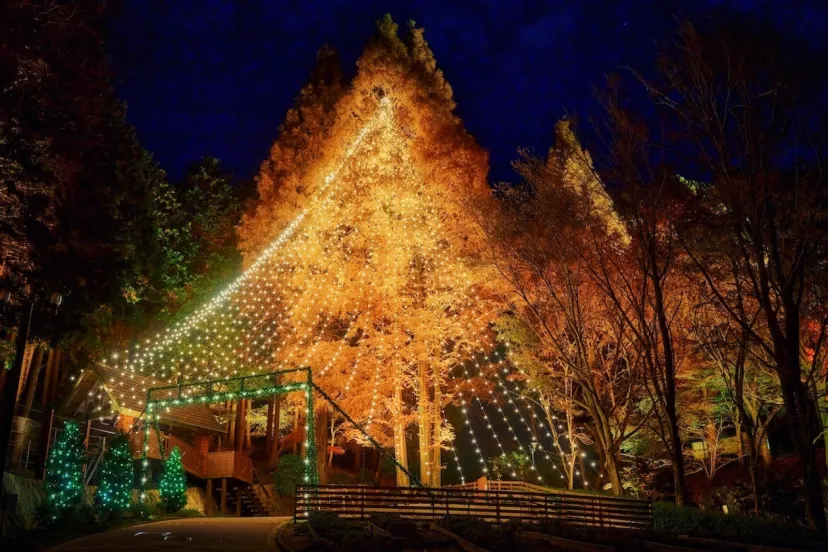 神戸布引ハーブ園「神戸クリスマスマーケット2024」開催中！25mのメタセコイアのツリーが登場