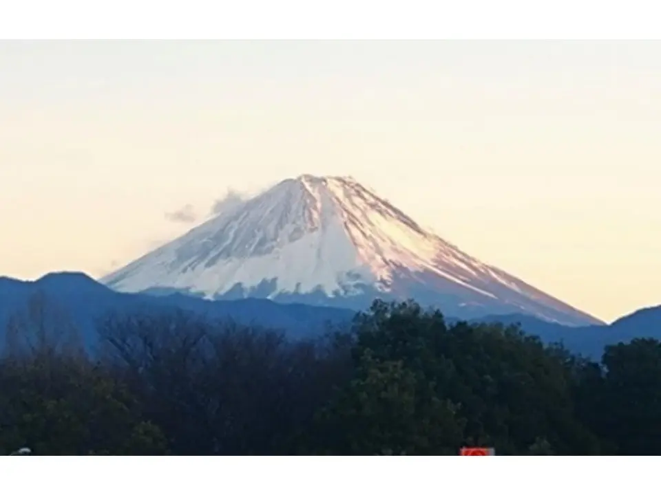 富士山ビューで“寄り道”が特別に。 双葉SA（下り）フードコートが先行リニューアルオープン！