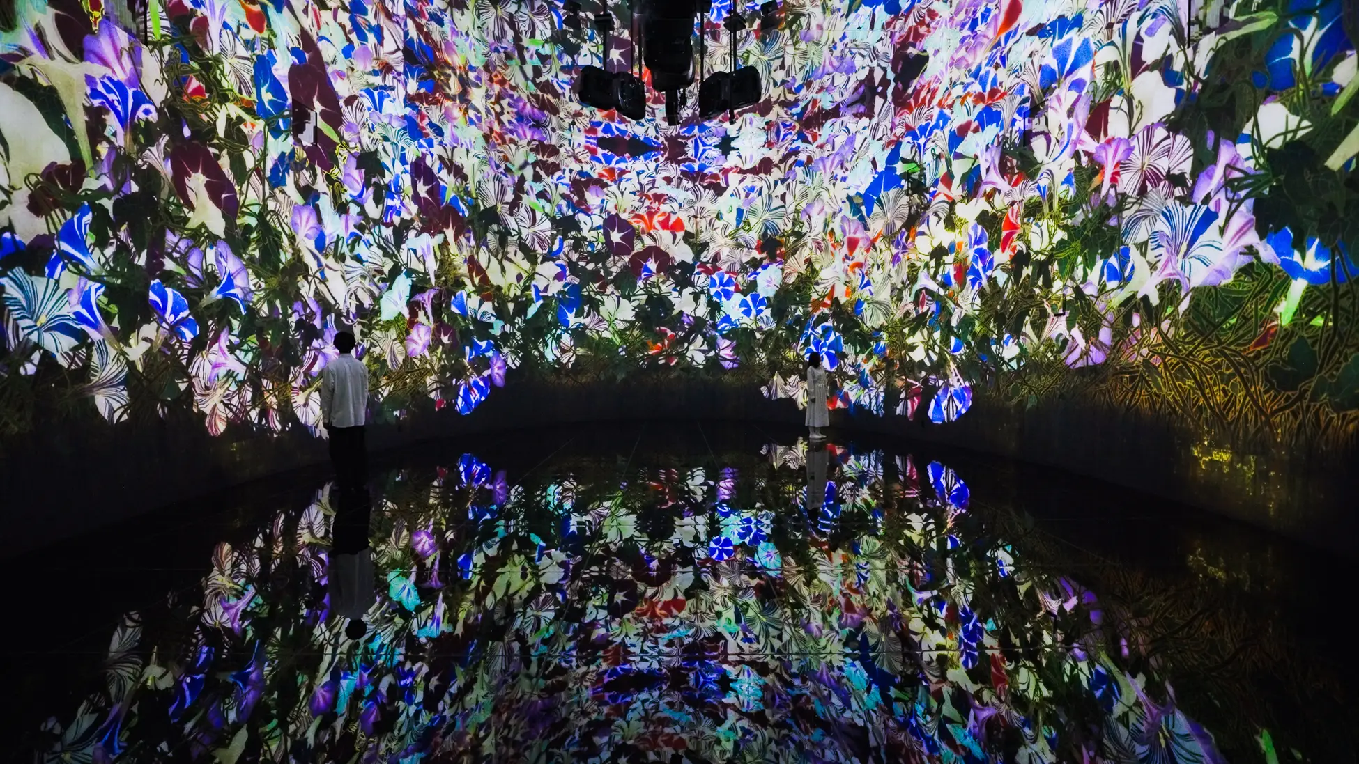 札幌宮の森美術館が「J Art Foundation」として再始動！ チームラボによる幻想的アートで5月2日より一部オープン